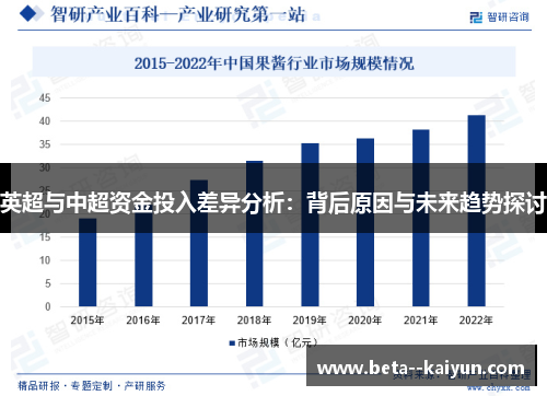 英超与中超资金投入差异分析：背后原因与未来趋势探讨