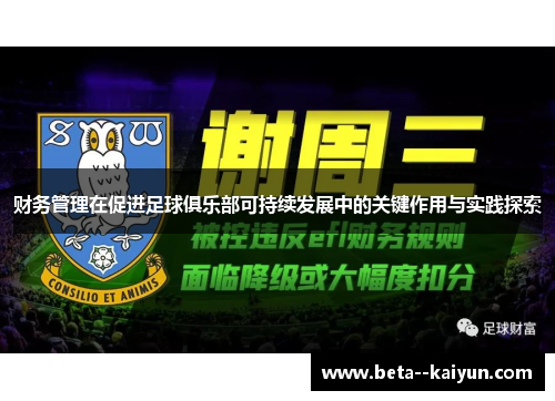 财务管理在促进足球俱乐部可持续发展中的关键作用与实践探索 财务管理在促进足球俱乐部可持续发展中的关键作用与实践探索