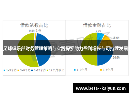 足球俱乐部财务管理策略与实践探索助力盈利增长与可持续发展 足球俱乐部财务管理策略与实践探索助力盈利增长与可持续发展