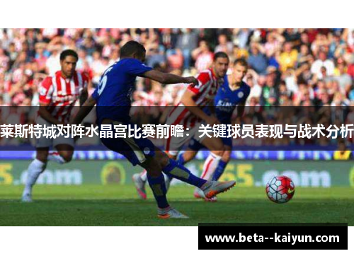 莱斯特城对阵水晶宫比赛前瞻:关键球员表现与战术分析 莱斯特城对阵水晶宫比赛前瞻:关键球员表现与战术分析