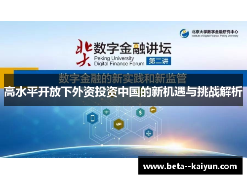 高水平开放下外资投资中国的新机遇与挑战解析