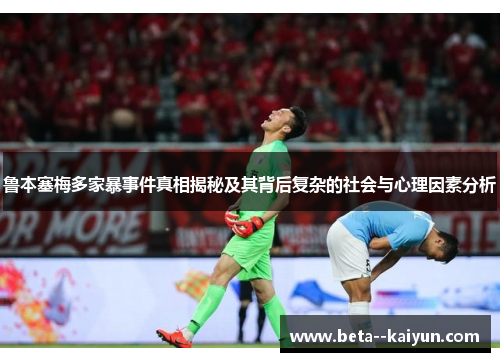 鲁本塞梅多家暴事件真相揭秘及其背后复杂的社会与心理因素分析