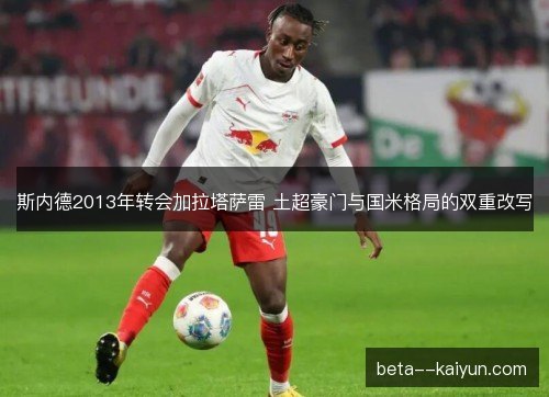 斯内德2013年转会加拉塔萨雷 土超豪门与国米格局的双重改写